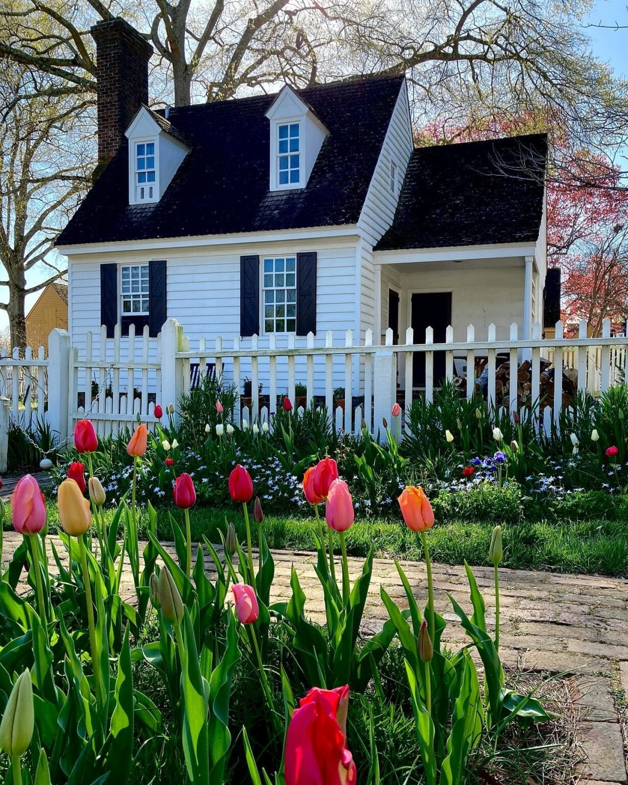 15 Best Things To Do In Williamsburg Virginia